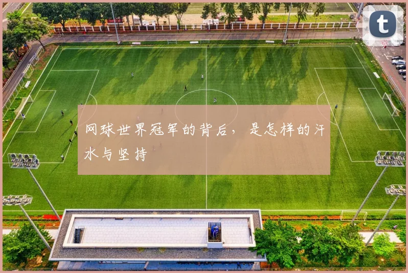 网球世界冠军的背后，是怎样的汗水与坚持