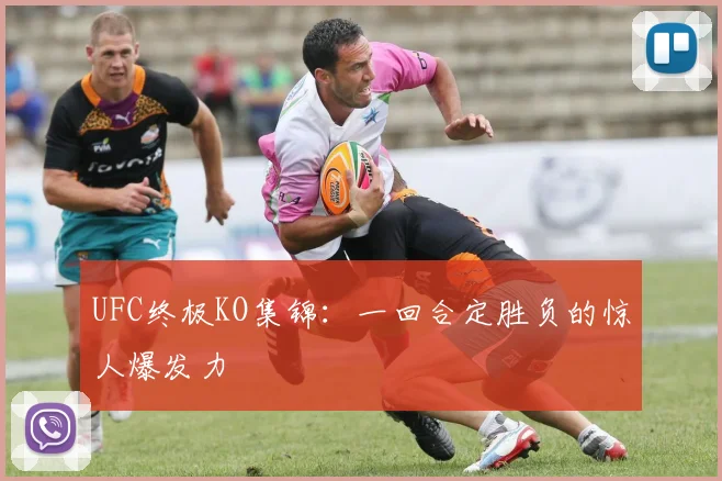 UFC终极KO集锦:一回合定胜负的惊人爆发力