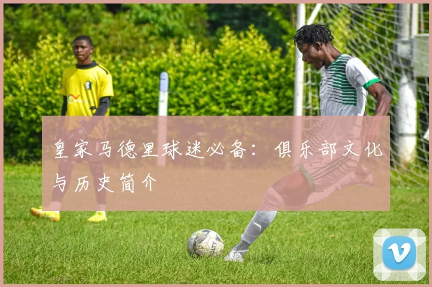 皇家马德里球迷必备:俱乐部文化与历史简介