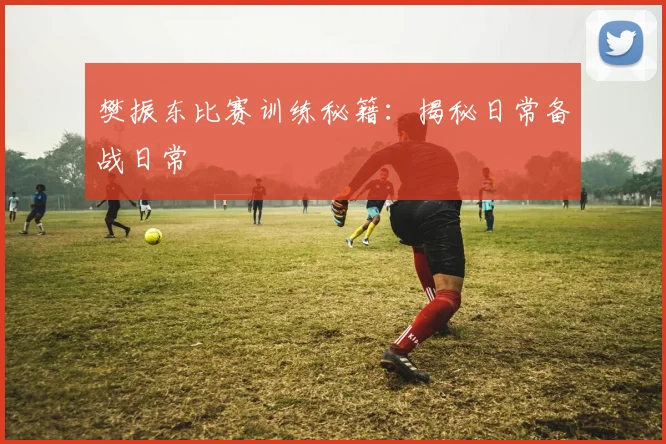 樊振东比赛训练秘籍：揭秘日常备战日常