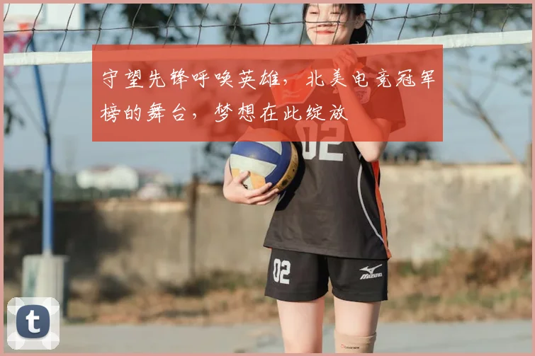 守望先锋呼唤英雄，北美电竞冠军榜的舞台，梦想在此绽放