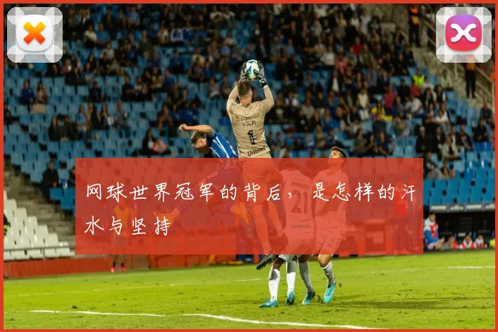 网球世界冠军的背后，是怎样的汗水与坚持