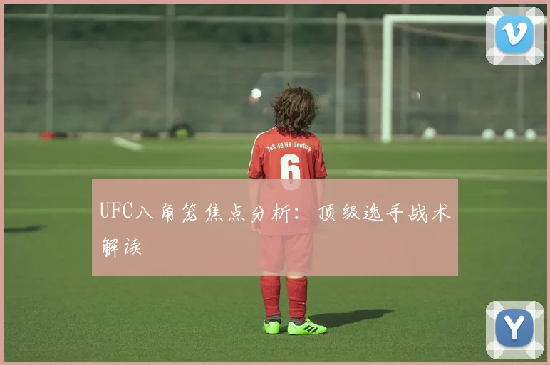 UFC八角笼焦点分析：顶级选手战术解读