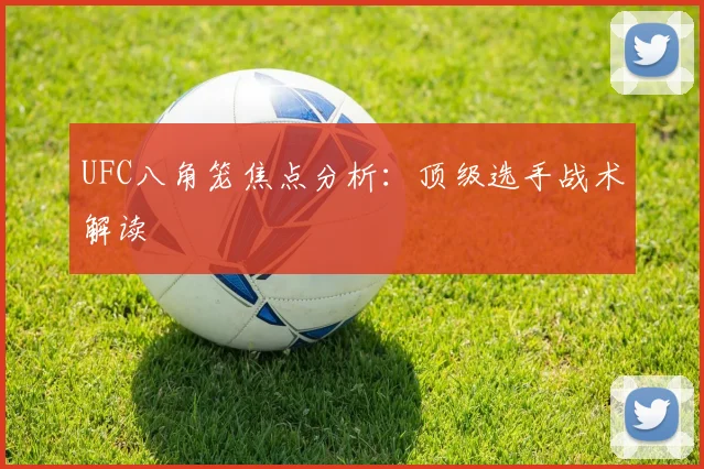 UFC八角笼焦点分析：顶级选手战术解读