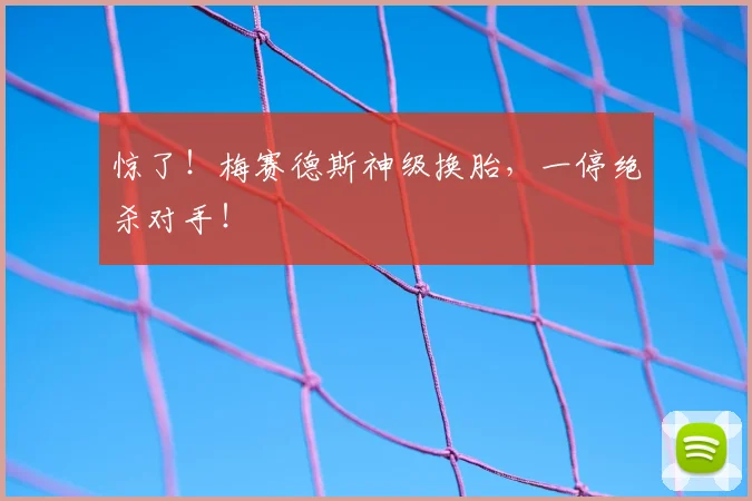 惊了！梅赛德斯神级换胎，一停绝杀对手！