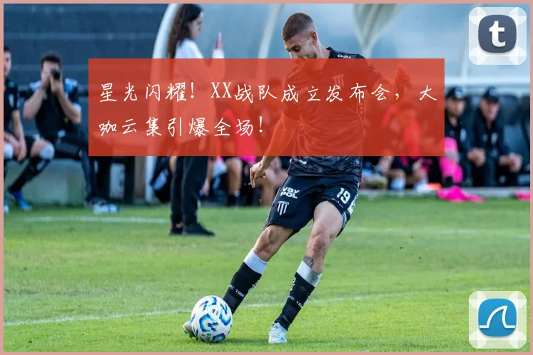 星光闪耀！XX战队成立发布会，大咖云集引爆全场！